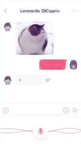 自动攻击网站工具下载软件程序维护界面